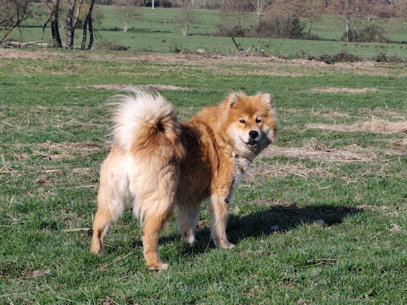 Ubiza of Nordic Island